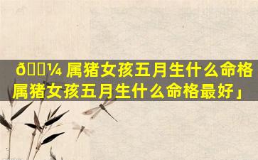 🌼 属猪女孩五月生什么命格「属猪女孩五月生什么命格最好」